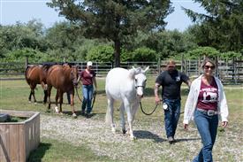 LR-WRF 08022025-Retreat-3264